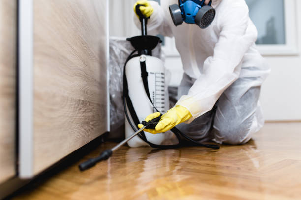 Best Affordable Pest Control Services  in Citronelle, AL