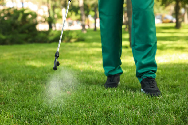 Best Mosquito Control Services  in Citronelle, AL