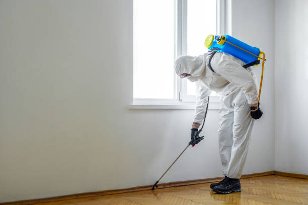 Best Affordable Pest Control Services  in Citronelle, AL