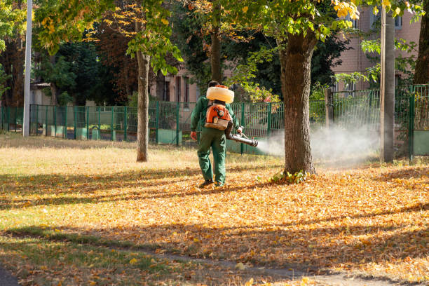 Best Affordable Pest Control Services  in Citronelle, AL