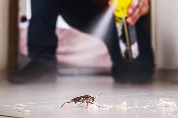 Best Best Pest Control Companies  in Citronelle, AL