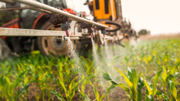 Best Pest Inspection Near Me  in Citronelle, AL